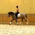 /album/les-chevaux/baelo-ii-jpg/